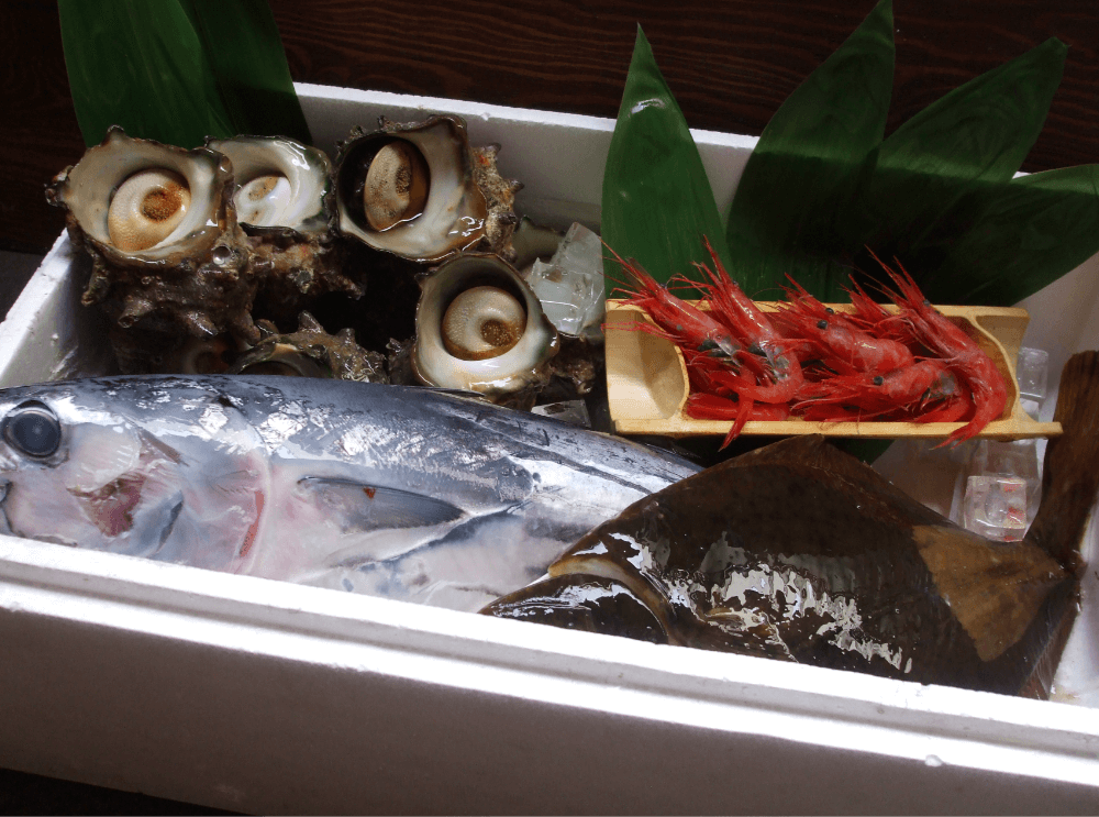 川崎北部市場の鮮魚